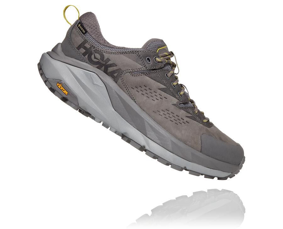 Hoka Australia One One Kaha Low GORE-TEX - Mens Trail Shoes Grey - CROFD-3419